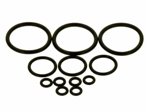 BOSCH O-Ring Dichtungs-Set mit mehreren schwarzen gummierten Dichtungsringen in verschiedenen Größen, geeignet für Abdichtungen in unterschiedlichen Anwendungen.